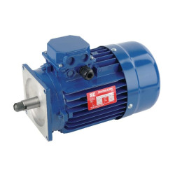 Elektrinis variklis 0,75 kW 1500 aps./min. 400 V EM80B4MPP300IE3