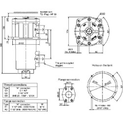 Grįžtamasis filtras FRI 250-B-A-G1-A10N76 FRI250A10N76