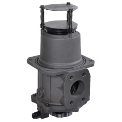 Siurbimo filtras SF2500-A-F1-D-M25 2" SAE SF2500M25