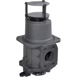 Siurbimo filtras SF2500-A-F1-D-M25 2" SAE SF2500M25