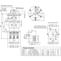 Siurbimo filtras SF2-510-A-F1-C-M25 2 1/2" SAE SF2510M25