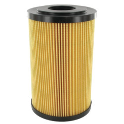 Filtro elementas F 33/ P25A F33P25A