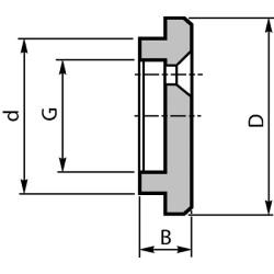 Galinis dangtelis FF 100/160 PD95701034000