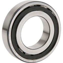 Sferinis ritininis guolis 45x85x19mm INA/FAG 20209KTVPC3