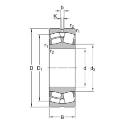 Sferinis ritininis guolis 100x165x52mm SKF 23120CCW33