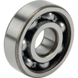 Giliųjų griovelių rutulinis guolis 17x47x14mm INA/FAG 6303RSRC3