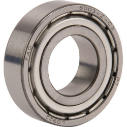 Giliųjų griovelių rutulinis guolis 17x35x10mm INA/FAG 6003ZC3