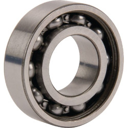 Giliųjų griovelių rutulinis guolis 17x35x10mm INA/FAG 6003ZC3