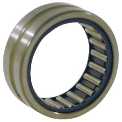 Adatinis guolis be vidinio žiedo RNA4901