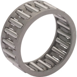 Adatinis narvelinis guolis K25X30X13GP