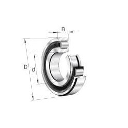 Cilindrinis ritininis guolis 65x140x33mm INA/FAG N313EXLTVP2