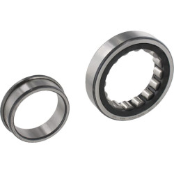 Guolis 55x100x21mm INA/FAG NJ211ETVP2C3