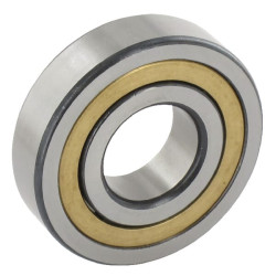 Cilindrinis ritininis guolis 30x72x19mm INA/FAG NJ306EM1AC3