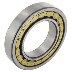 Cilindrinis ritininis guolis 75x130x25mm INA/FAG NU215EM1C3