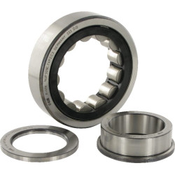 Cilindrinis ritininis guolis 45x100x25mm INA/FAG NUP309ETVP2C3