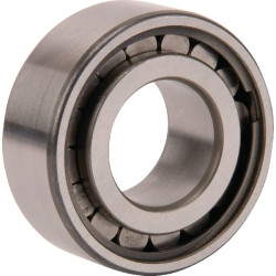 Cilindrinis ritininis guolis 20x42x16mm INA/FAG SL183004AXL