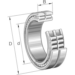 Cilindrinis ritininis guolis 100x140x40mm INA/FAG SL024920A