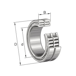 Cilindrinis ritininis guolis 30x55x34mm INA/FAG SL185006A
