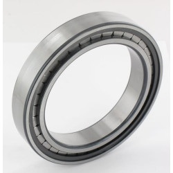 Cilindrinis ritininis guolis 100x140x24mm INA/FAG SL182920BXL