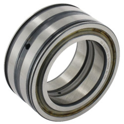 Cilindrinis ritininis guolis 65x100x46mm INA/FAG SL045013PP