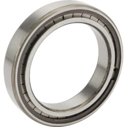 Cilindrinis ritininis guolis 60x85x16mm INA/FAG SL182912BXL