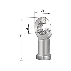 Strypo galvutė GIR6DOINA