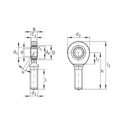 Strypo galvutė GAL20UKINA