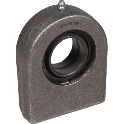 Radialinis sferinis paprastasis guolis GF35DOAINA