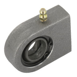 Radialinis sferinis paprastasis guolis GF20DOAINA