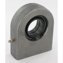 Radialinis sferinis paprastasis guolis GF40DOAINA