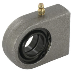 Radialinis sferinis paprastasis guolis GF25DOAINA