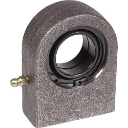 Radialinis sferinis paprastasis guolis GF30DOAINA