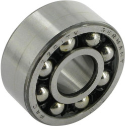 Savaime išsilyginantis rutulinis guolis 12x32x14mm INA/FAG 2201TVH