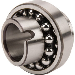 Savaime išsilyginantis rutulinis guolis 30x62x48mm INA/FAG 11206TVH