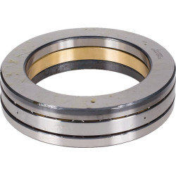 Atramos ritininis guolis 81209TV