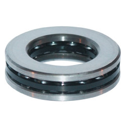 Atramos rutulinis guolis SKF 750051111