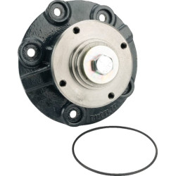 Pavaros stebulė VN79300654