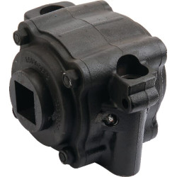 Guolis pilnas 40x40mm 25050NO