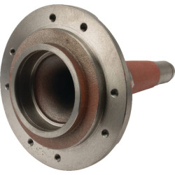 Stebulė, vertikali Z1100480