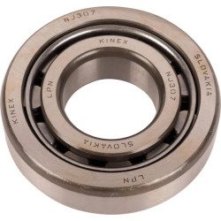 Guolis dešinysis 1440591X1N