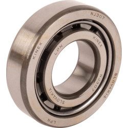 Guolis dešinysis 1440591X1N