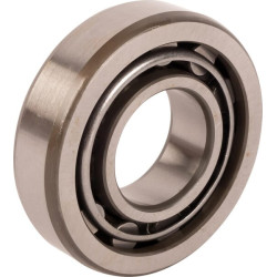 Guolis dešinysis 1440591X1N