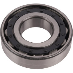 Guolis dešinysis 1441048X1N