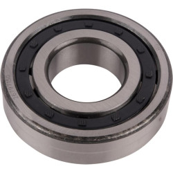 Guolis dešinysis 1441048X1N