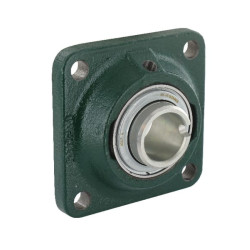 Guolis Amazone CE006