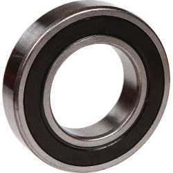 Rutulinis guolis 6210-2RS 8113313308