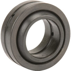 Guolis GE20ES SKF F250360