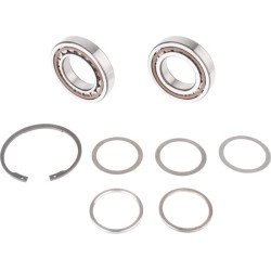 Centrinio krumpliaračio guolių komplektas R600 74966926900