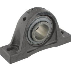 TASE pagrindas Guolių korpusas TASE35SSP