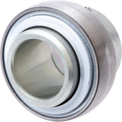 Radialinis įdėklinis rutulinis guolis E30XLKRRB